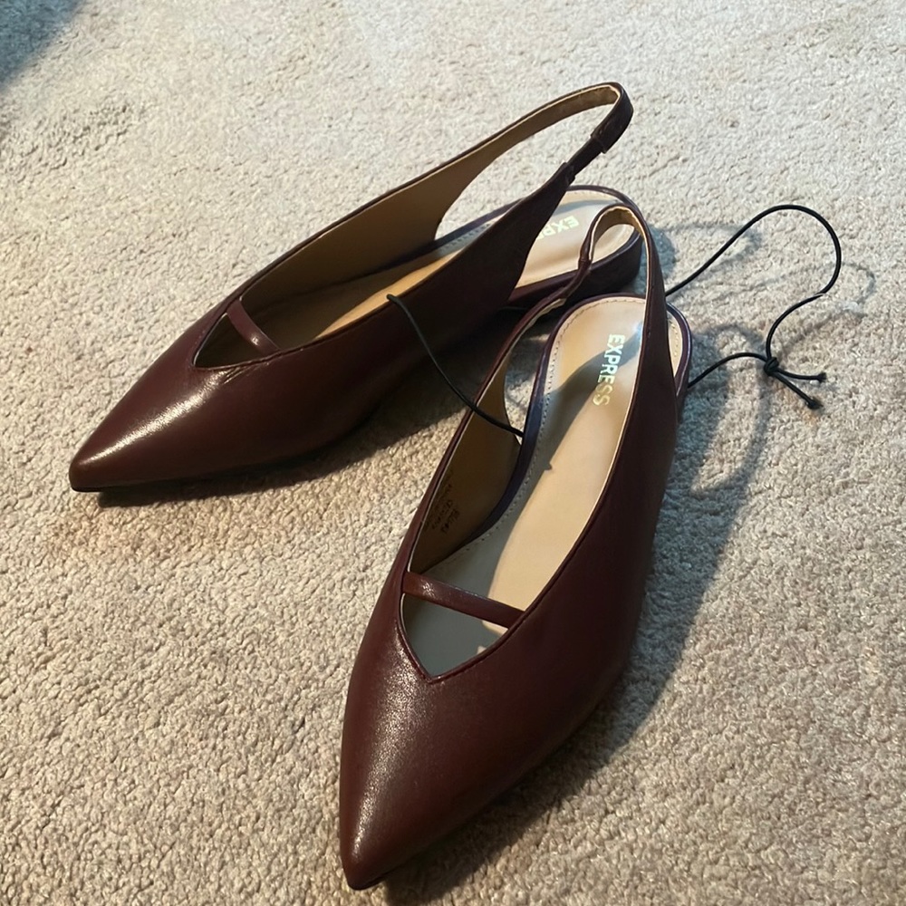 Express Pointed Toe Slingback Flats